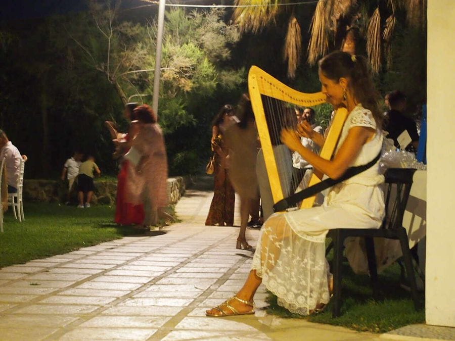 harp_reception.jpg